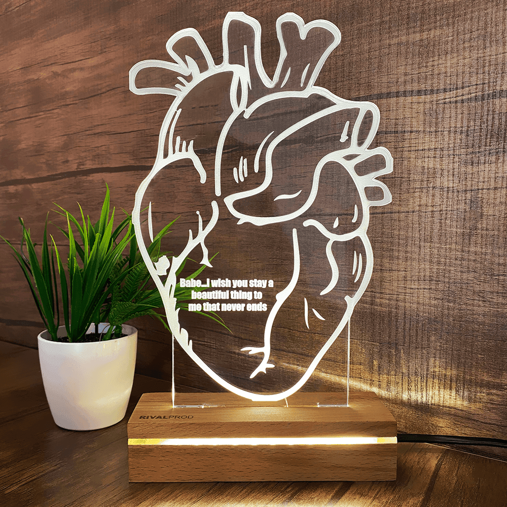 Anatomy Heart