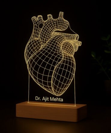 Anatomical Heart